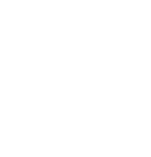 Logo sony