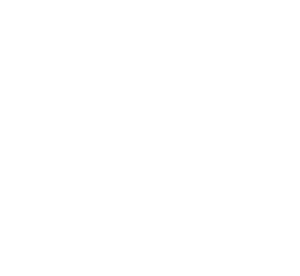 Empresa colaboradora